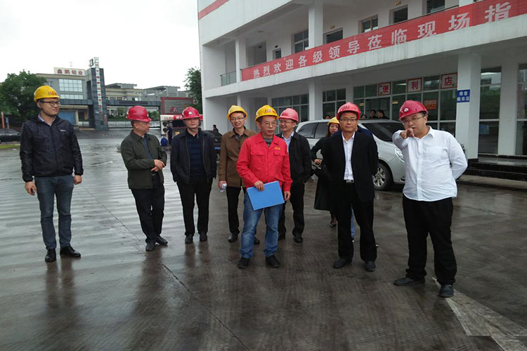 总经理彭涛一行到燃气各子公司开展调研工作3 总经理彭涛一行到燃气各子公司开展调研工作3